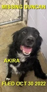 HAPPY ENDINGS - DUNCAN BC. /AKIRA / OCT. 30, 2022