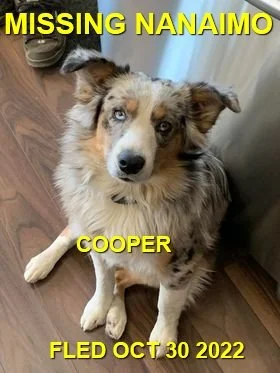 HAPPY ENDINGS - NANAIMO BC. / COOPER / OCT 29, 2022