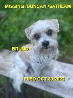 HAPPY ENDINGS - DUNCAN BC. / BRUNO / OCT. 29, 2022