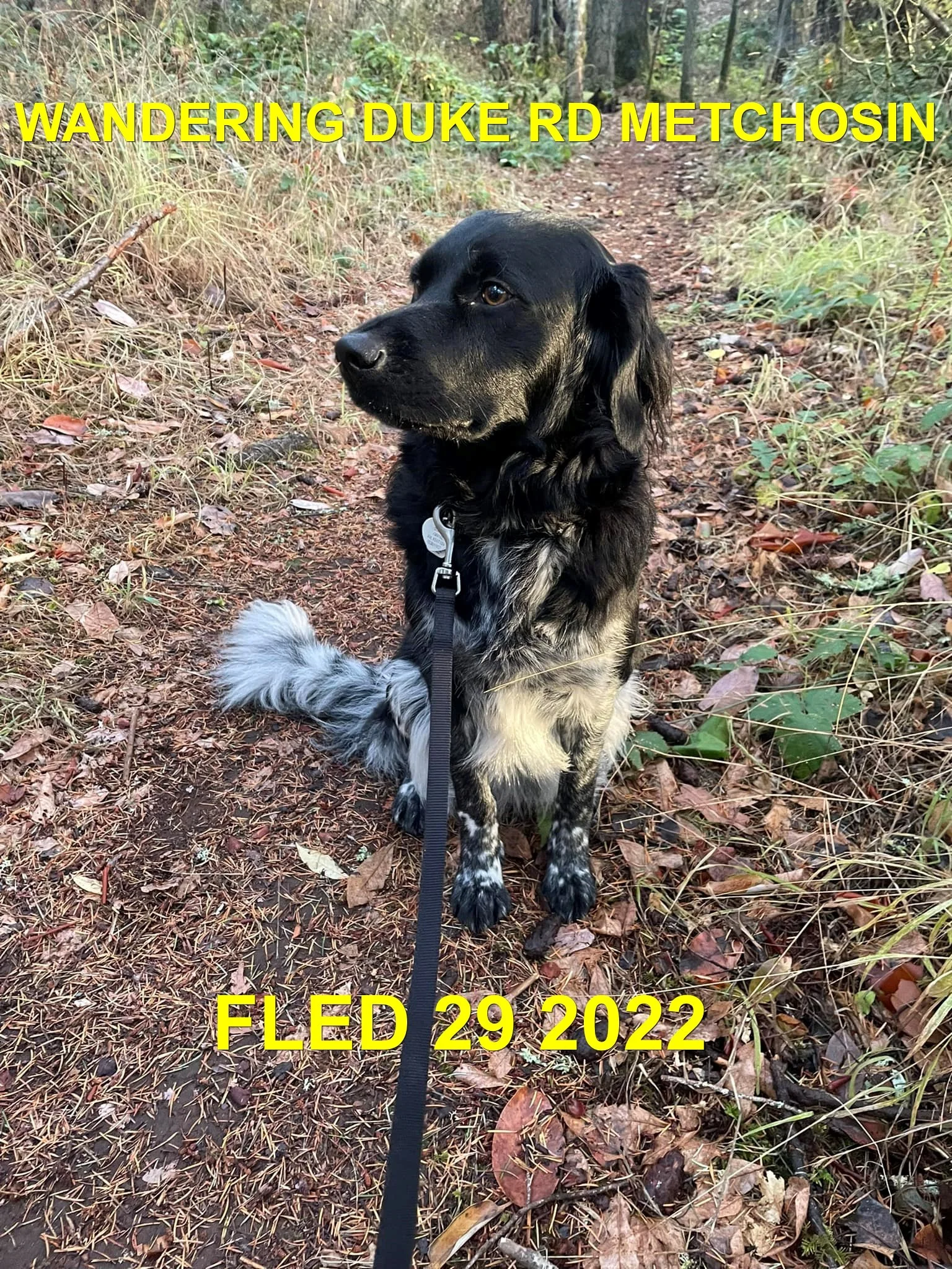 CAME HOME ON OWN - HAPPY ENDINGS - METCHOSIN BC. / OCT. 29, 2022