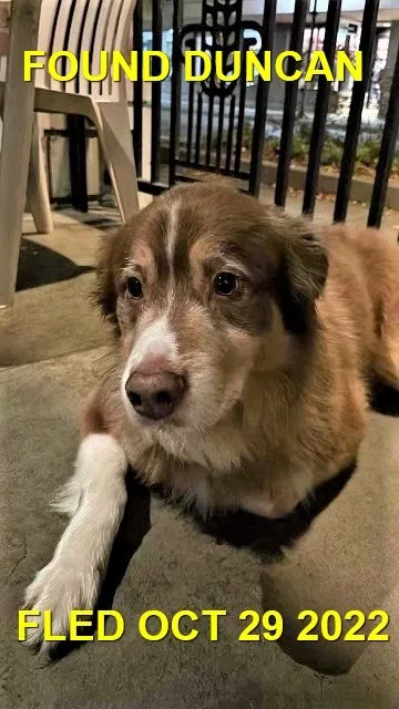 HAPPY ENDINGS - DUNCAN BC. / OCT 28, 2022