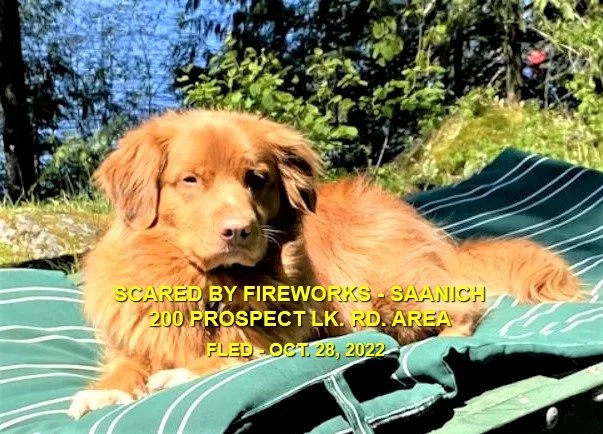 HAPPY ENDINGS - SAANICH BC. / CEDAR / OCT. 28, 2022