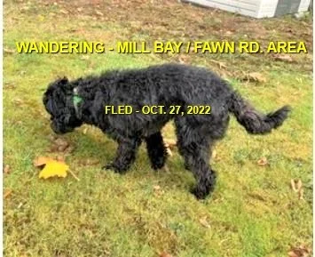UNRESOLVED - MILL BAY BC. / OCT. 27, 2022