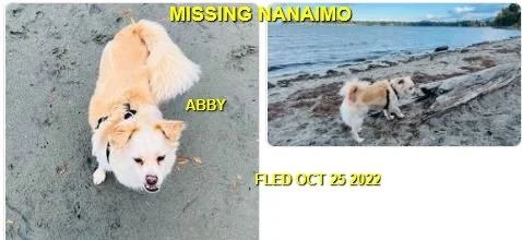 HAPPY ENDINGS - NANAIMO BC. / ABBY / OCT. 25, 2022