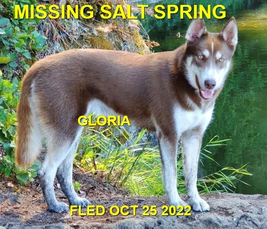 HAPPY ENDINGS - SALT SPRING ISLAND BC. / GLORIA / OCT 24, 2022