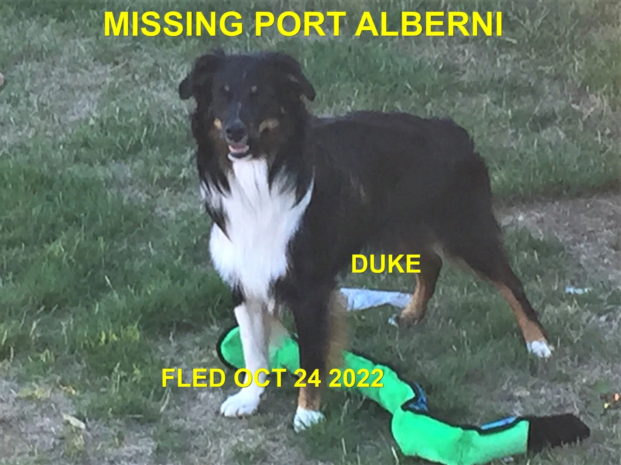 HAPPY ENDINGS - PORT ALBERNI BC. / DUKE / OCT 24, 2022