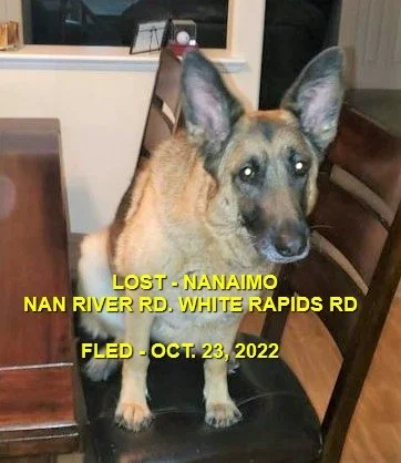 HAPPY ENDINGS - NANAIMO BC. / MCKENNA / OCT. 23, 2022