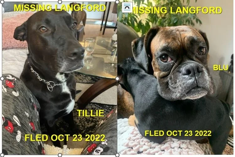 HAPPY ENDINGS - LANGFORD BC. / OCT. 23, 2022