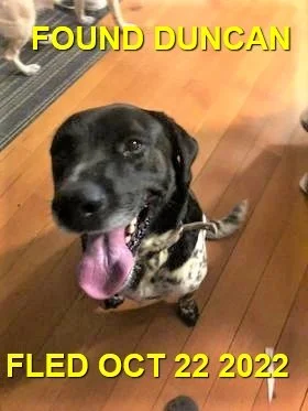 HAPPY ENDINGS - DUNCAN BC. / OCT. 22, 2022