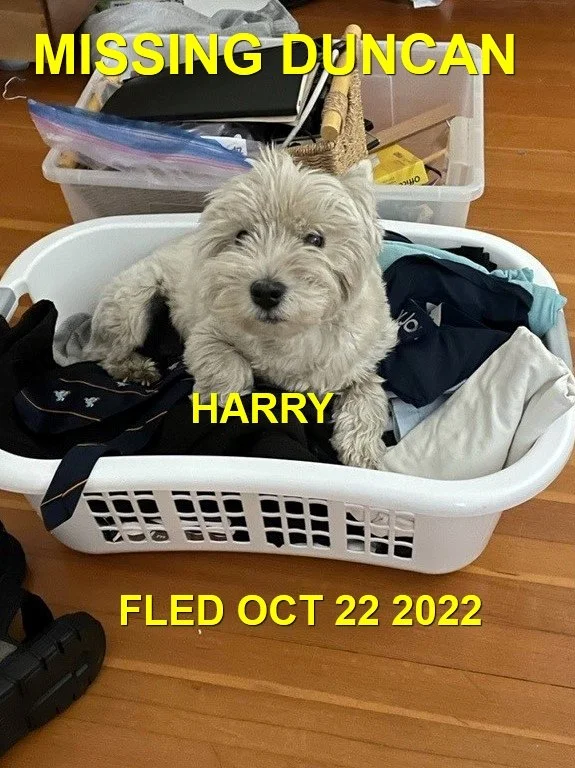 HAPPY ENDINGS - DUNCAN BC. / HARRY / OCT 22, 2022