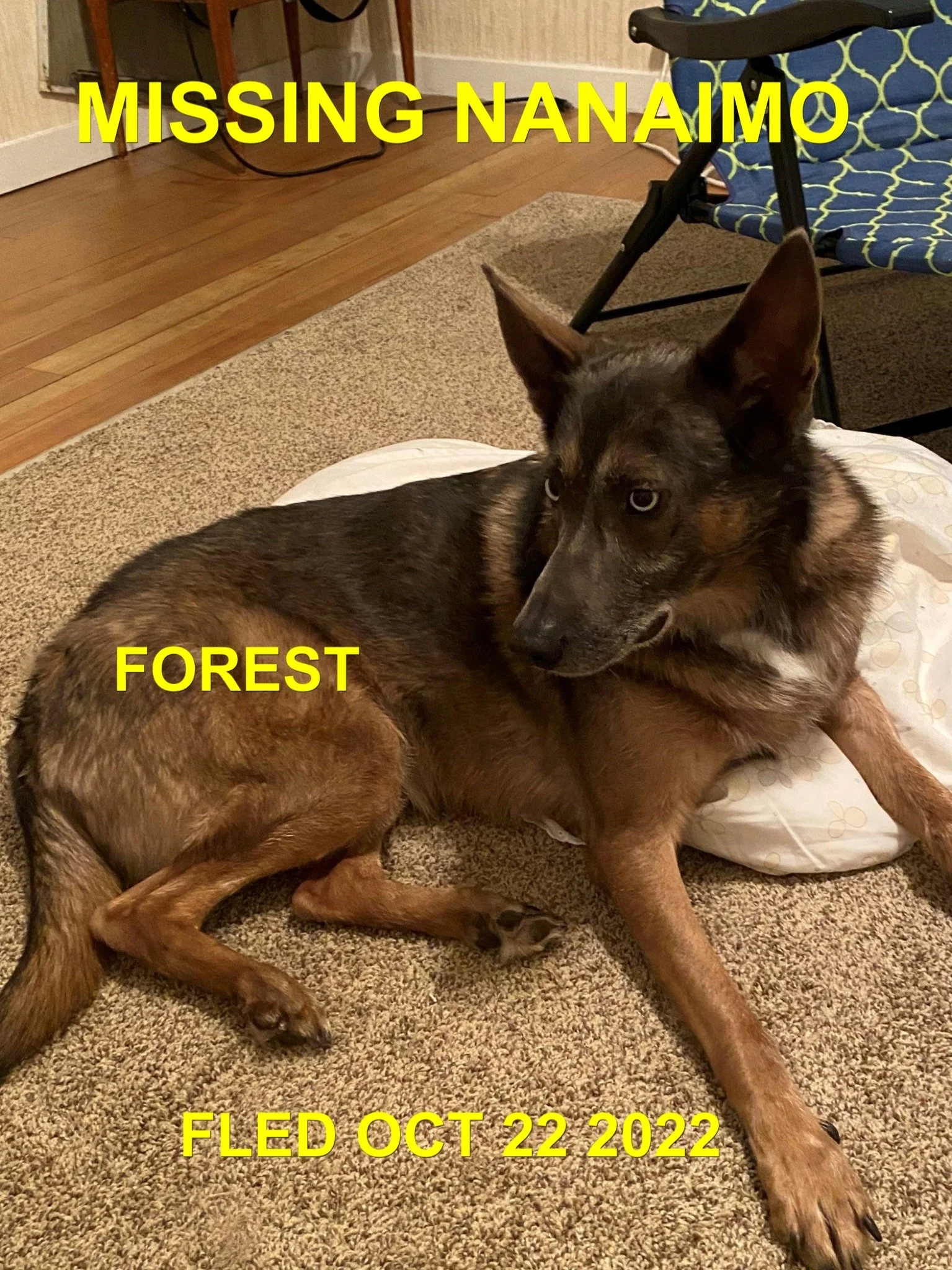 HAPPY ENDINGS - NANAIMO BC. / FORREST / OCT. 22, 2022