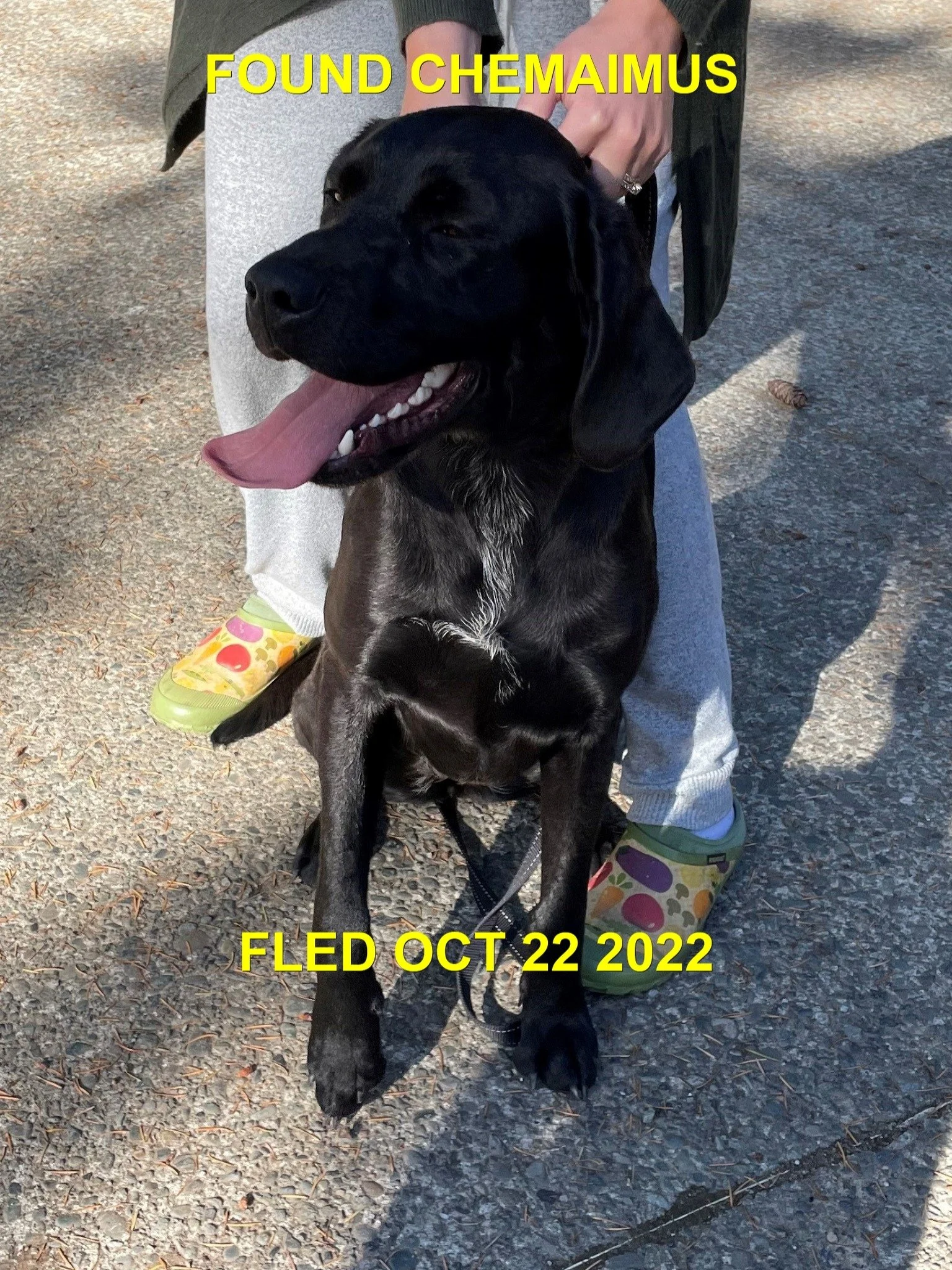 HAPPY ENDINGS - CHEMAINUS BC. / OCT. 22, 2022