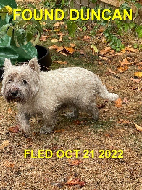 GONE TO SHELTER - HAPPY ENDINGS - DUNCAN BC. / HARRY / OCT. 21. 2022