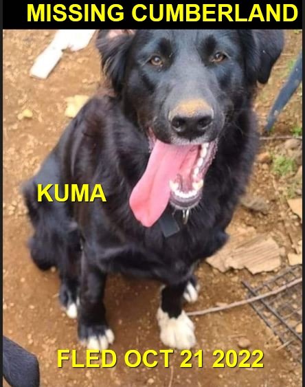 HAPPY ENDINGS - CUMBERLAND BC. / KUMA / OCT. 20, 2022