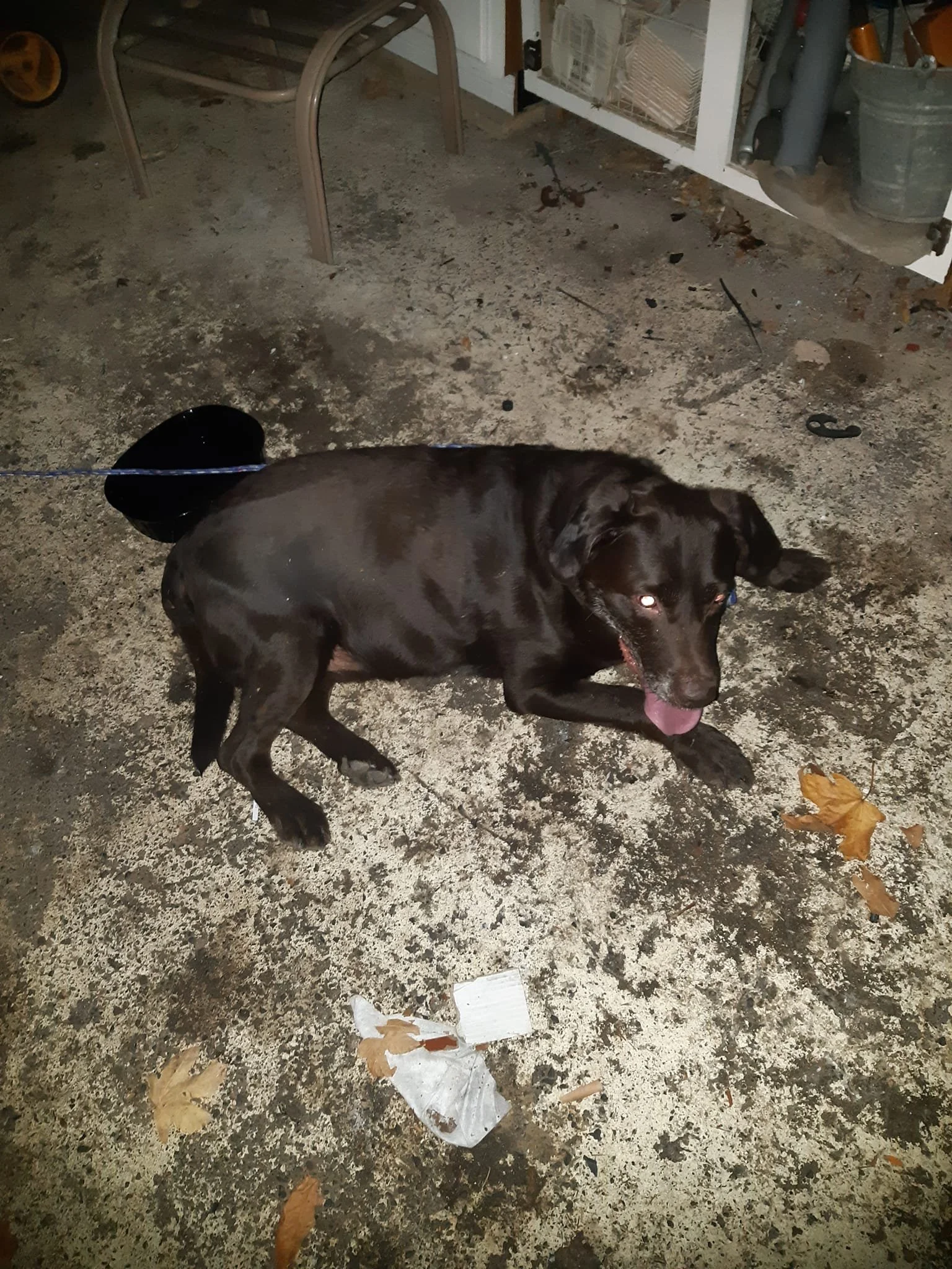 HAPPY ENDINGS - NANAIMO BC. / OCT. 17, 2022