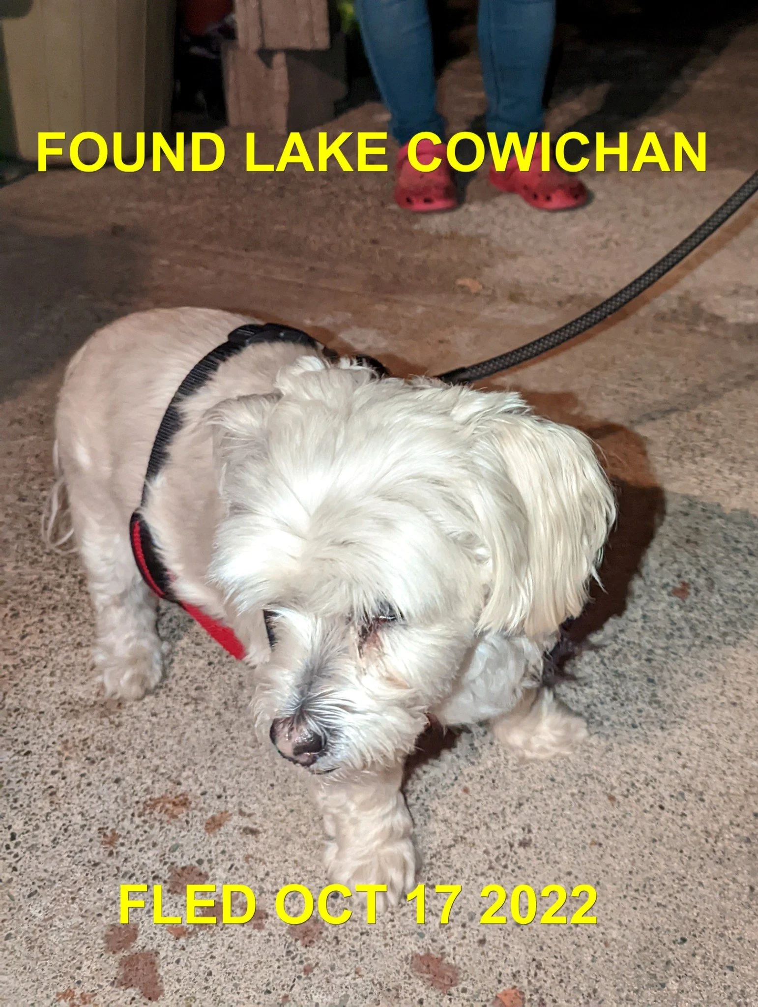 HAPPY ENDINGS - LAKE COWICHAN BC. / OCT. 17, 2022