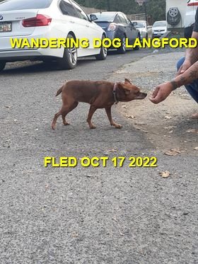 HAPPY ENDINGS  - LANGFORD BC. / OCT. 17, 2022