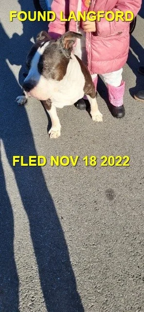 HAPPY ENDINGS - LANGFORD BC. / VADER / NOV. 18, 2022