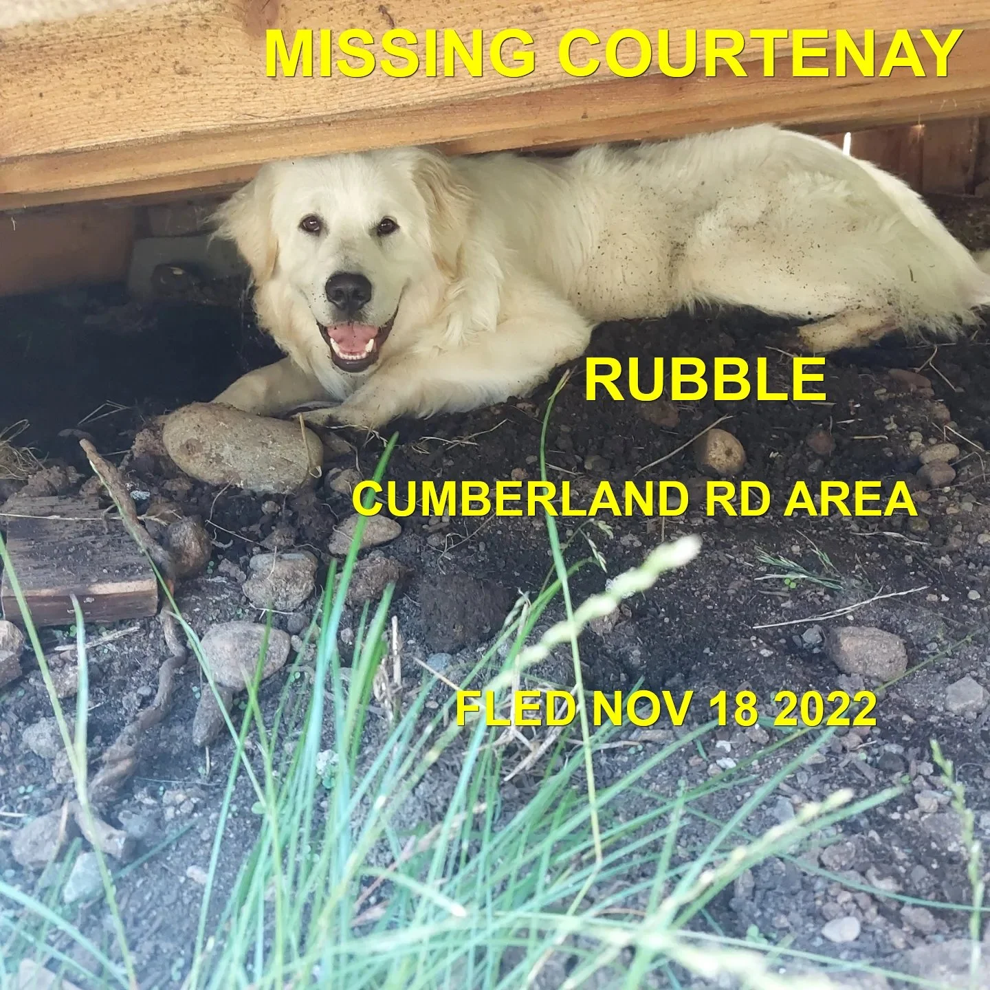 HAPPY ENDINGS - COURTENAY BC. / RUBBLE / NOV. 18, 2022