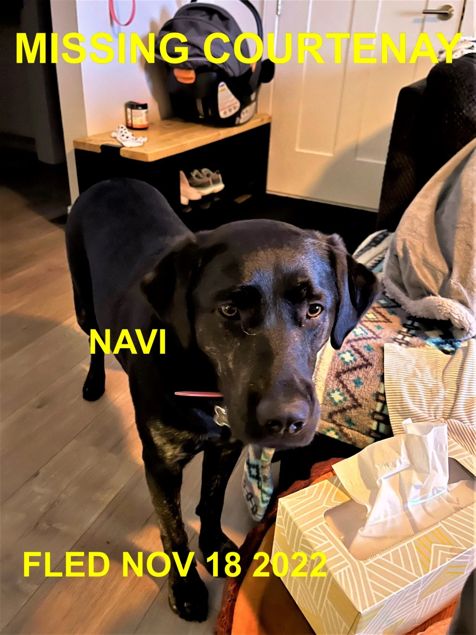 HAPPY ENDINGS - COURTENAY BC. / NAVI / NOV. 18, 2022