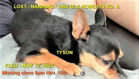 HAPPY ENDINGS - NANAIMO BC. / TYSON / NOV. 16, 2022