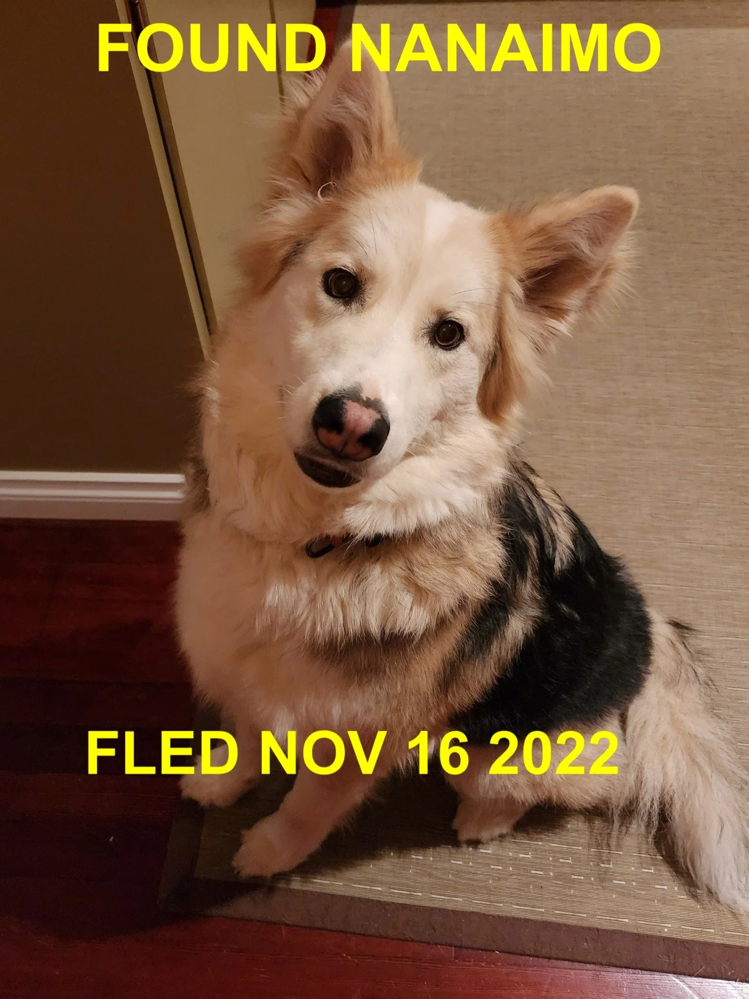 HAPPY ENDINGS - NANAIMO BC. / NOV. 16, 2022