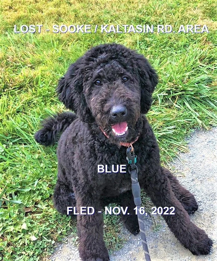 HAPPY ENDINGS - SOOKE BC. / BLUE / NOV. 16, 2022