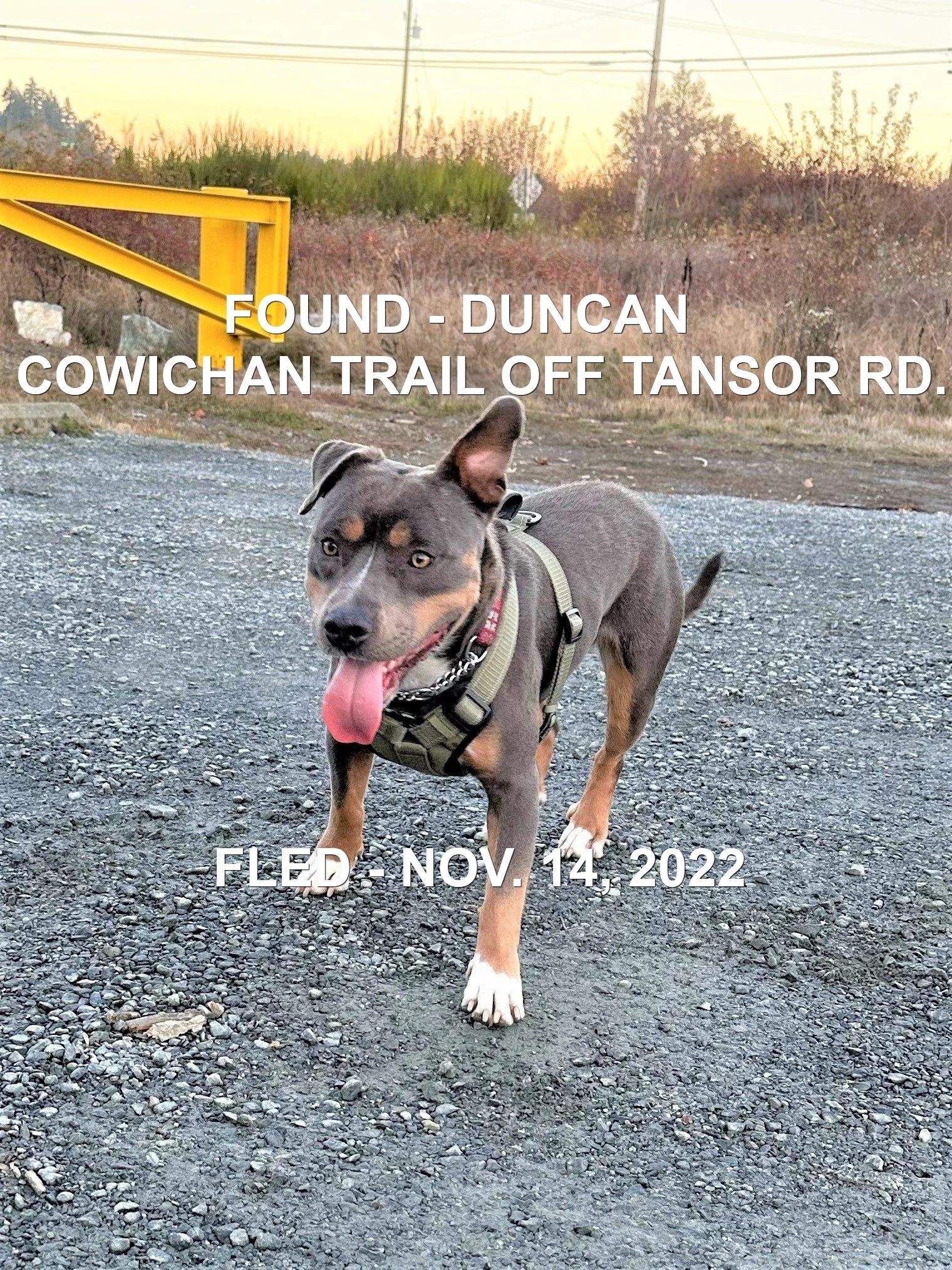 HAPPY ENDINGS - DUNCAN BC. / NOV. 14, 2022