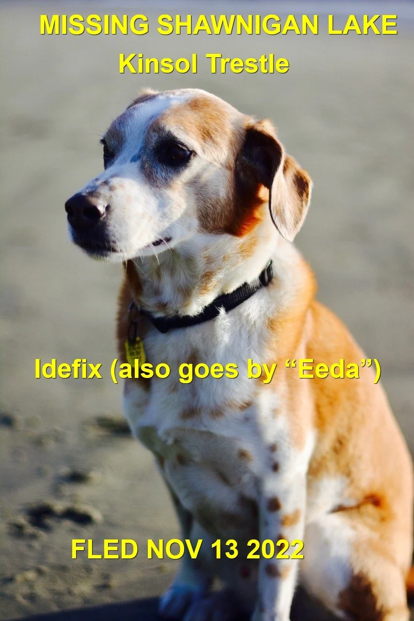 HAPPY ENDINGS - SHAWNIGAN LAKE BC. / IDEFIX (AKA EEDA) / NOV. 13, 2022
