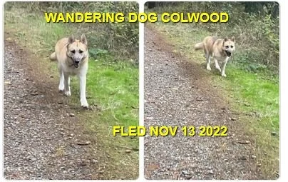 HAPPY ENDINGS - COLWOOD BC. / BRODIE / NOV. 13, 2022