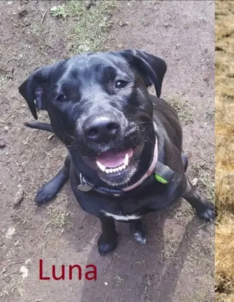 HAPPY ENDINGS - HIGHLANDS BC. / LUNA / NOV 12, 2022