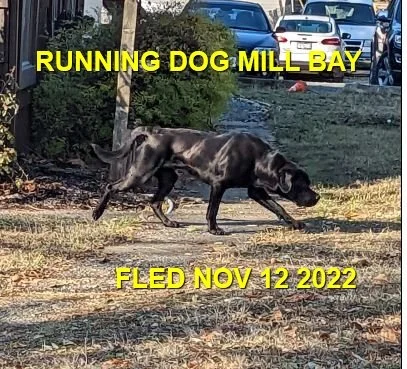 UNRESOLVED - MILL BAY BC. / NOV 12, 2022