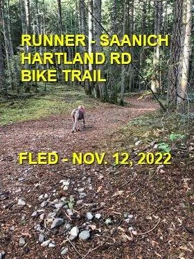 HAPPY ENDINGS - SAANICH BC. / NOV. 12, 2022