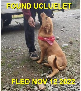 HAPPY ENDINGS - UCLUELET BC. / NOV. 12, 2022