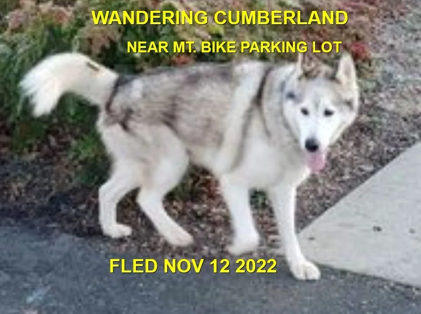 UNRESOLVED - CUMBERLAND BC. / NOV. 12, 2022