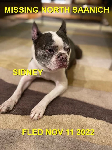 HAPPY ENDINGS - NORTH SAANICH BC. / SIDNEY / NOV. 11, 2022