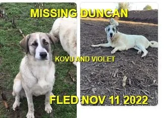 HAPPY ENDINGS - DUNCAN BC. / KOVU &amp; VIOLET / NOV. 11, 2022