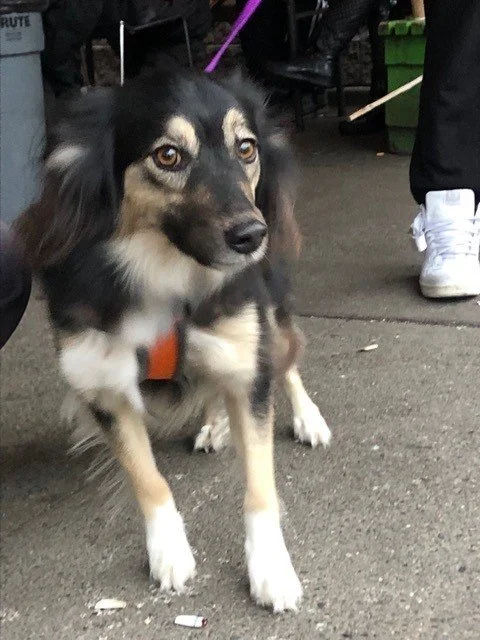 HAPPY ENDINGS - VICTORIA BC. / HOPE / NOV. 11, 2022