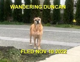 UNRESOLVED - DUNCAN BC. / NOV. 10, 2022