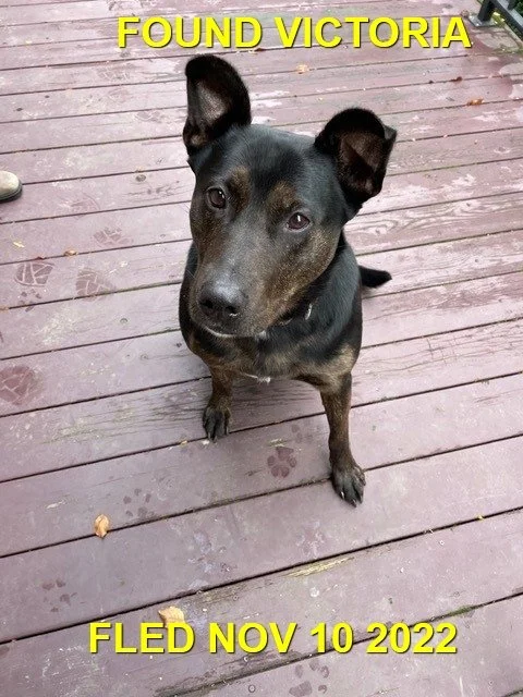 HAPPY ENDINGS - VICTORIA BC. / GENIE / NOV. 10, 2022