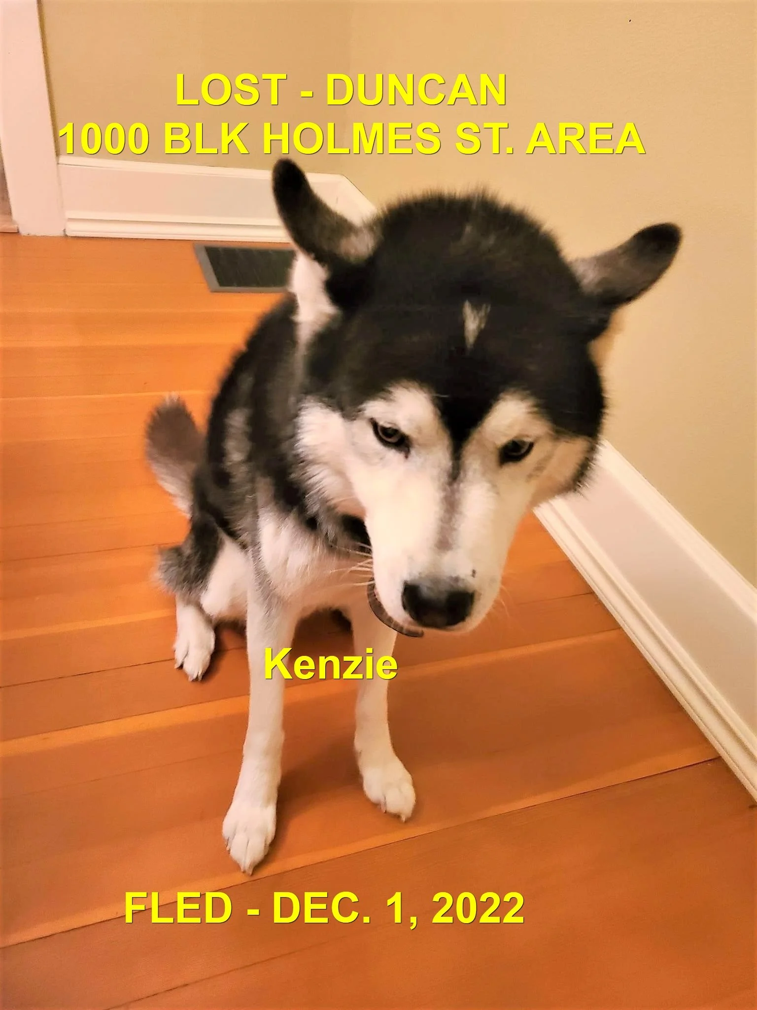 HAPPY ENDINGS AGAIN - DUNCAN BC. / KENZIE / DEC. 4, 2022