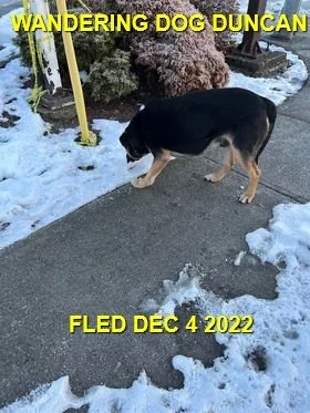 GONE TO SHELTER / HAPPY ENDINGS - DUNCAN BC. / BLUE / DEC. 4, 2022