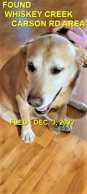 HAPPY ENDINGS - WHISKEY CREEK BC / DEC. 3, 2022