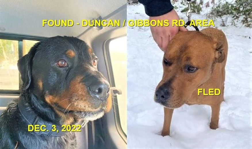 HAPPY ENDINGS - DUNCAN BC. / DEC. 3, 2022