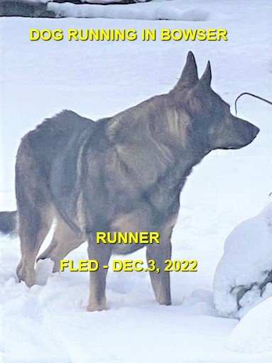 UNRESOLVED - BOWSER BC. / DEC. 3, 2022