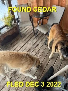 HAPPY ENDINGS - NANAIMO BC. / SIDIKA &amp; CLOUD / DEC 3, 2022