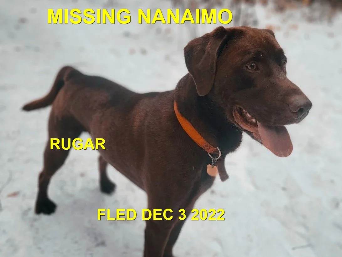 HAPPY ENDINGS - NANAIMO BC. / RUGAR / DEC. 3, 2022