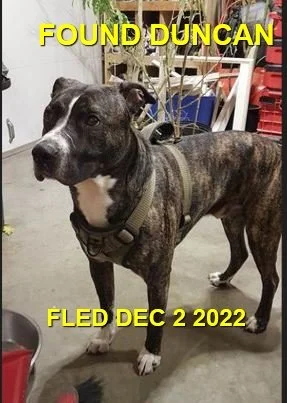 HAPPY ENDINGS - DUNCAN BC. / MACK / DEC. 2, 2022