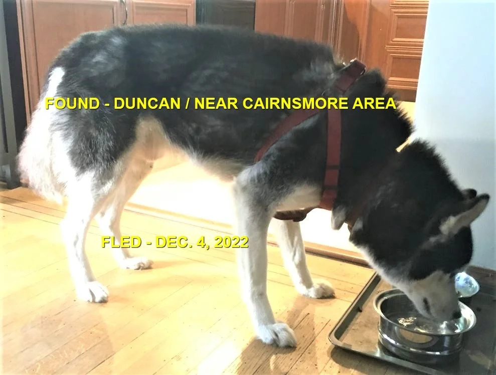 HAPPY ENDINGS - DUNCAN BC. / KENZIE / DEC 1, 2022