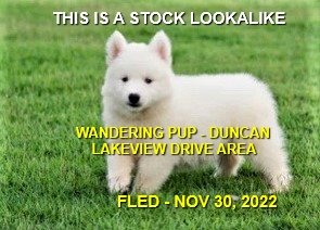 UNRESOLVED -DUNCAN BC. / DEC. 1, 2022